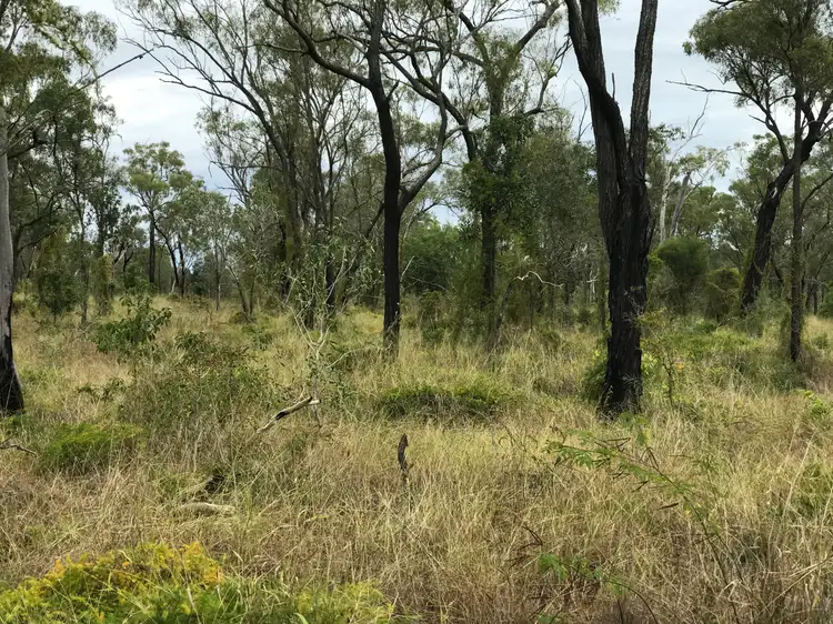 Main view of Homely rural property listing, Lot 9 South Yaamba Road, Alton Downs QLD 4702