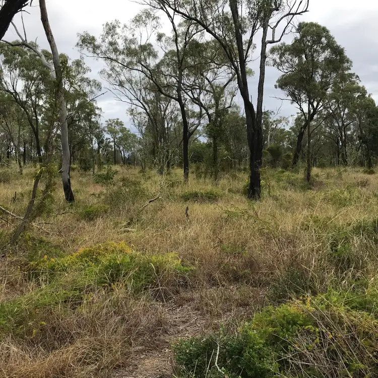 Fifth view of Homely rural property listing, Lot 9 South Yaamba Road, Alton Downs QLD 4702