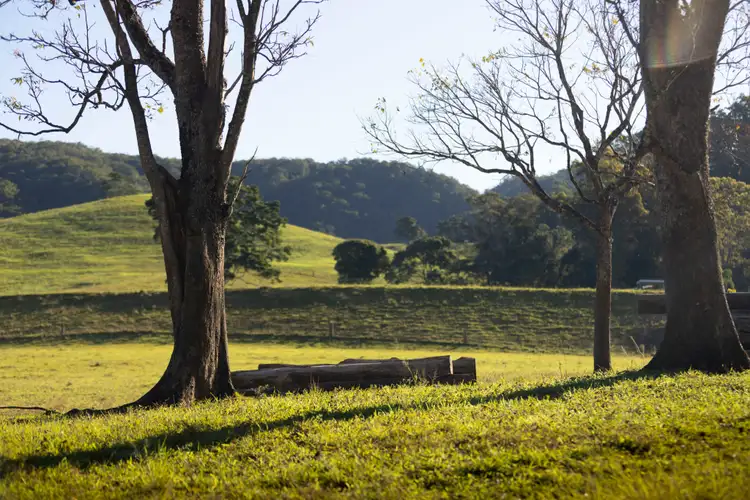 492 River Road, Peachester QLD 4519