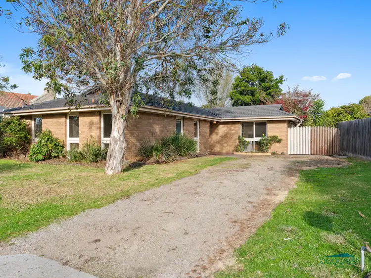 Main view of Homely house listing, 17 Lima Avenue, Tyabb VIC 3913