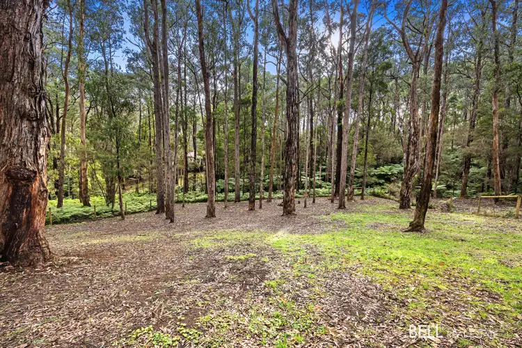 15 Lyrebird Avenue