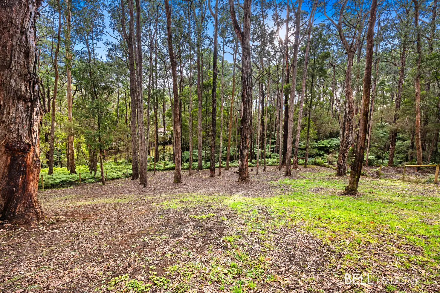 Main view of Homely land listing, 15 Lyrebird Avenue, East Warburton VIC 3799