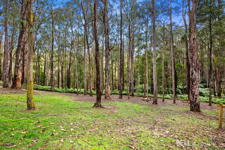 Second view of Homely land listing, 15 Lyrebird Avenue, East Warburton VIC 3799