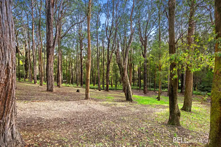 Seventh view of Homely land listing, 15 Lyrebird Avenue, East Warburton VIC 3799