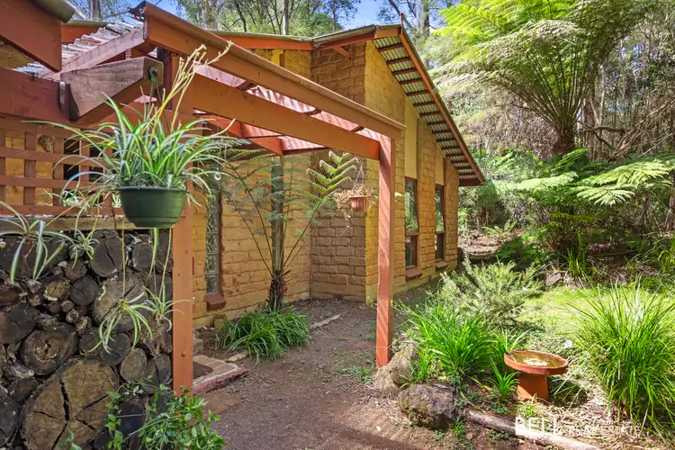 Main view of Homely house listing, 25 Peppermint Lane, Big Pats Creek VIC 3799