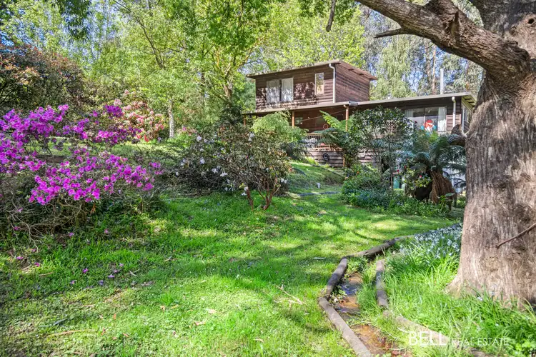 Second view of Homely house listing, 12 River Road, Millgrove VIC 3799