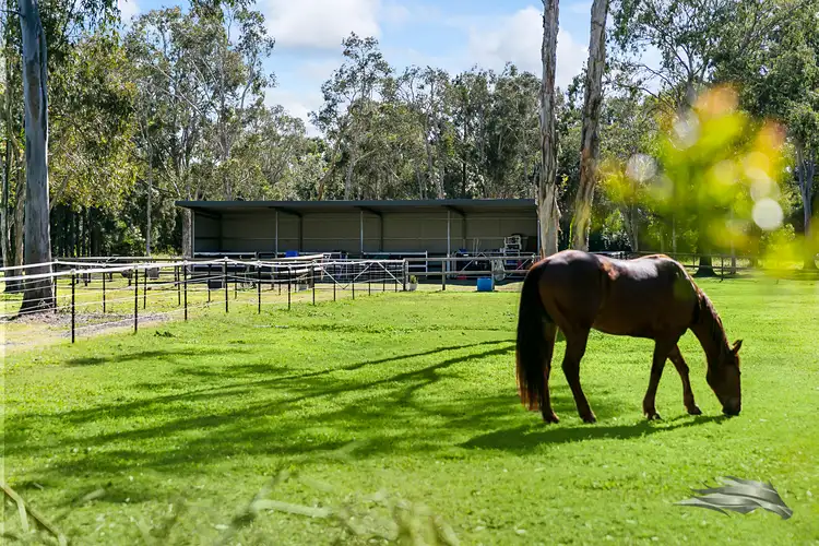 Fourth view of Homely house listing, 57 Christen Drive, Beachmere QLD 4510