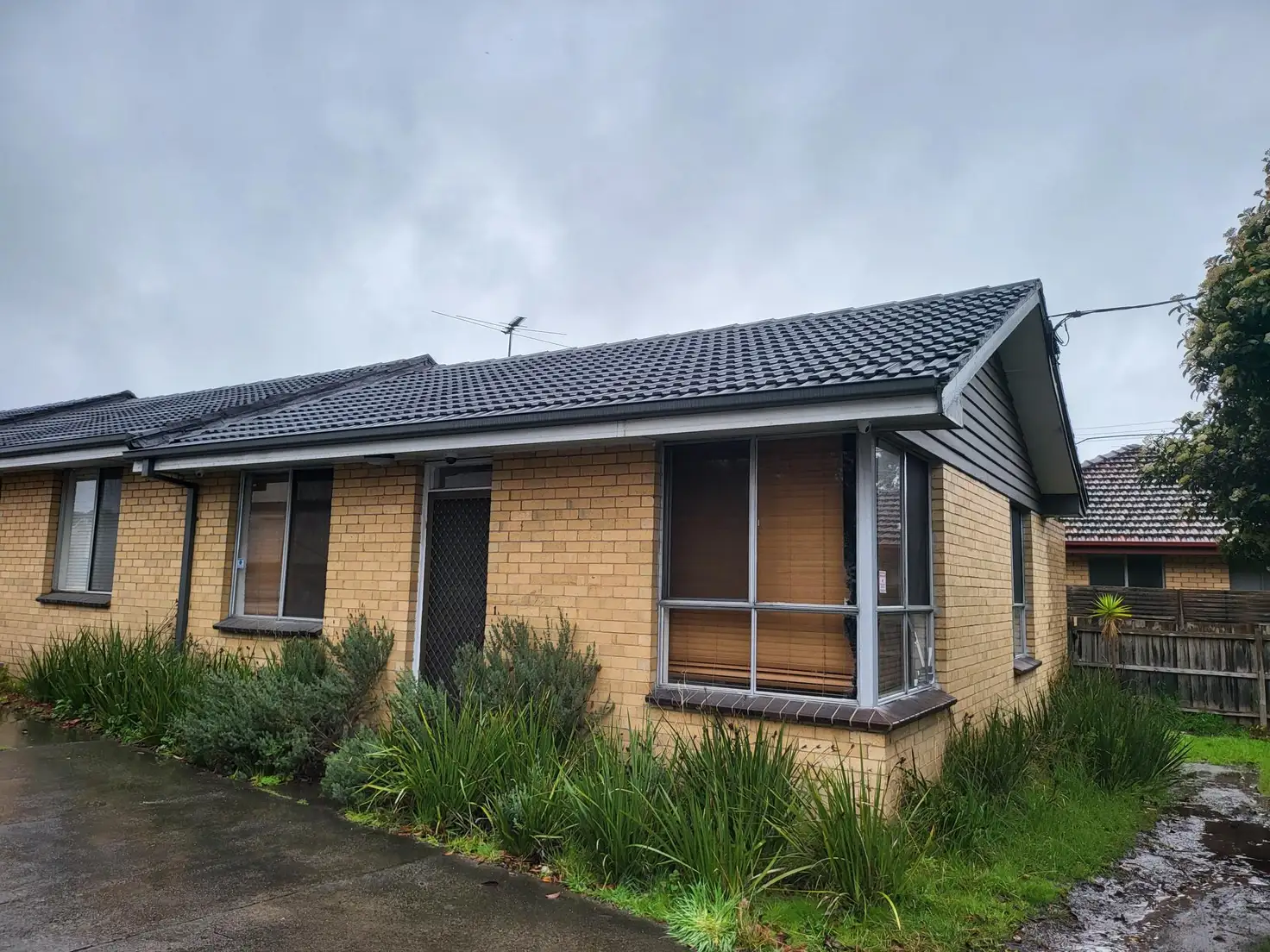 Main view of Homely unit listing, 1/815 Princes Highway, Springvale VIC 3171