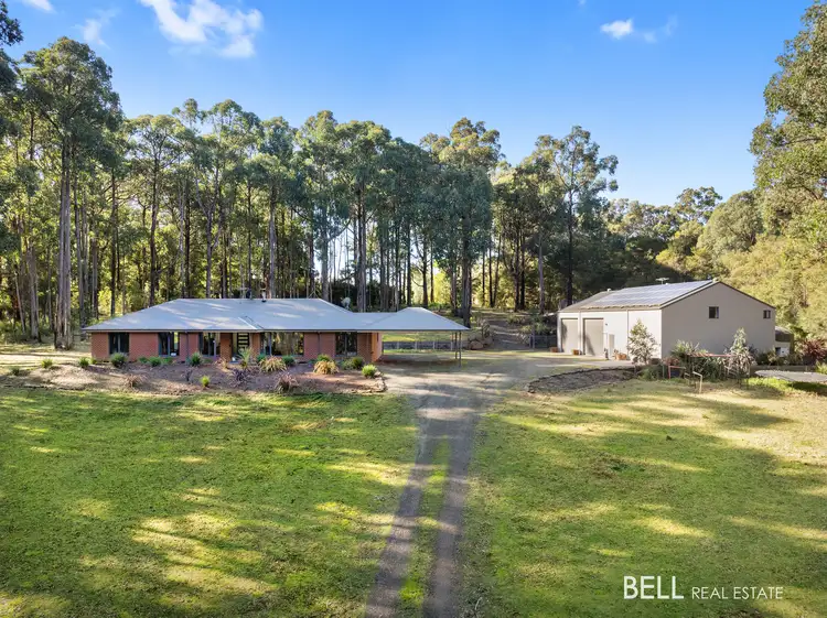 Main view of Homely house listing, 110 Worlley Road, Hoddles Creek VIC 3139