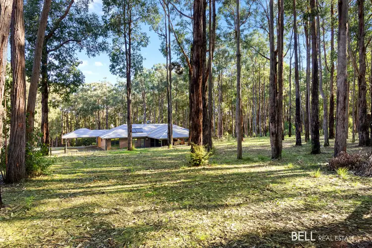 Second view of Homely house listing, 110 Worlley Road, Hoddles Creek VIC 3139