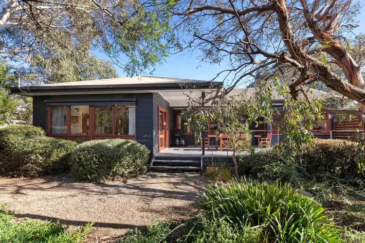 19 Murray Street, Anglesea VIC 3230