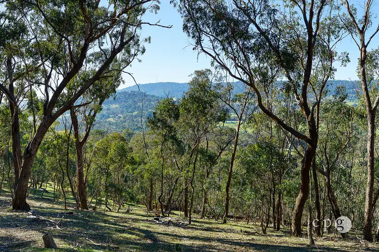 376 Specimen Gully Road, Barkers Creek VIC 3451
