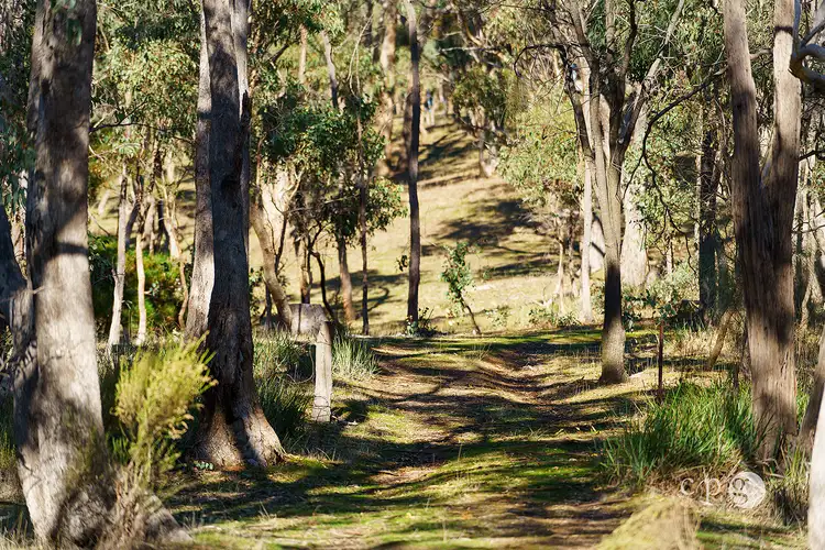 Third view of Homely land listing, 376 Specimen Gully Road, Barkers Creek VIC 3451