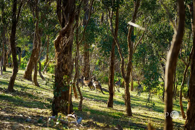 Sixth view of Homely land listing, 376 Specimen Gully Road, Barkers Creek VIC 3451
