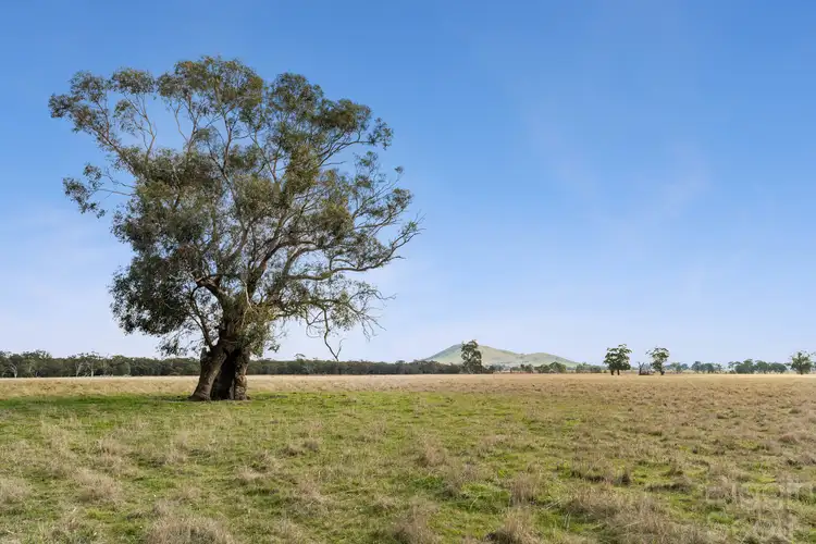 Seventh view of Homely land listing, LOT 46, 225 Wilsons Road, Kooroocheang VIC 3364