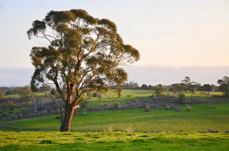 Fourth view of Homely land listing, 212 High Street, Kyneton VIC 3444