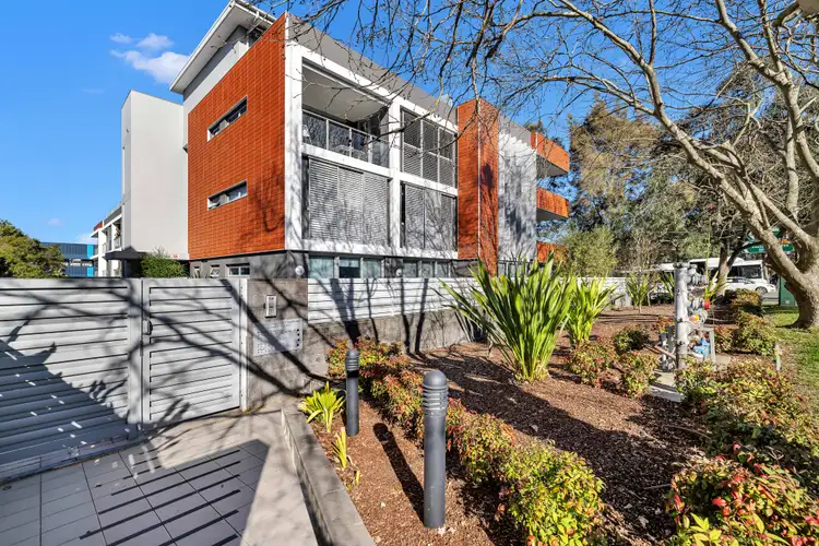 Main view of Homely apartment listing, 50/331 Miller Street, Cammeray NSW 2062