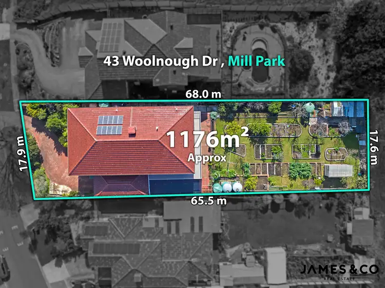 Main view of Homely house listing, 43 Woolnough Drive, Mill Park VIC 3082