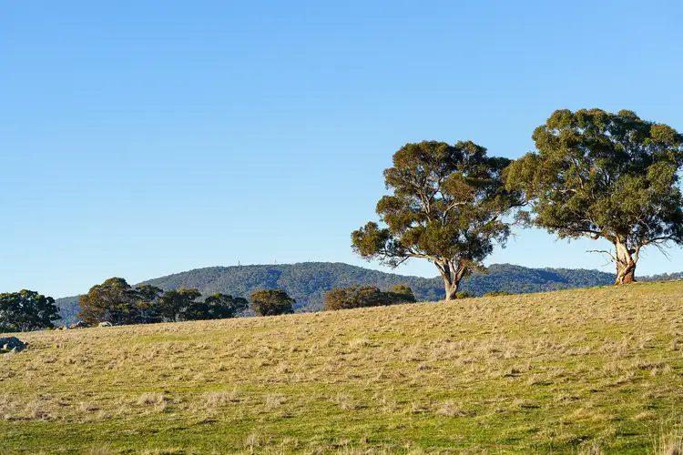 135 Tarrengower School Road, Maldon VIC 3463
