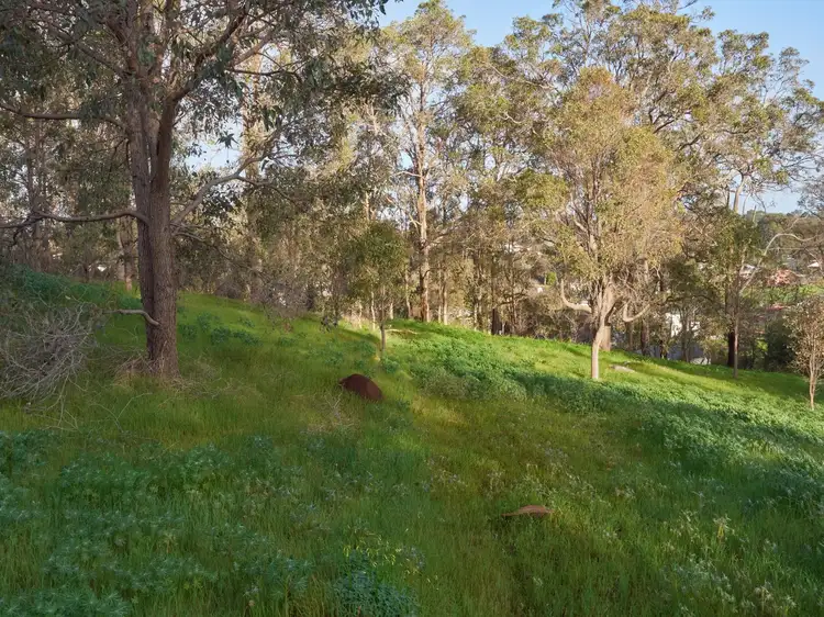 Fifth view of Homely land listing, 12 Victoria Parade, Donnybrook WA 6239