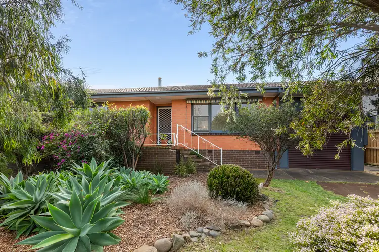 Main view of Homely house listing, 36 Rocklea Drive, Torquay VIC 3228
