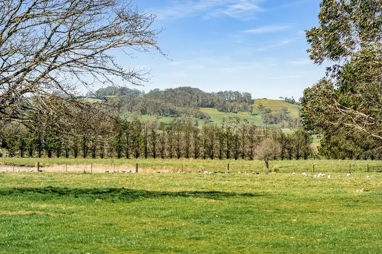 Fourth view of Homely rural property listing, 5941 Illawarra Highway, Avoca NSW 2577