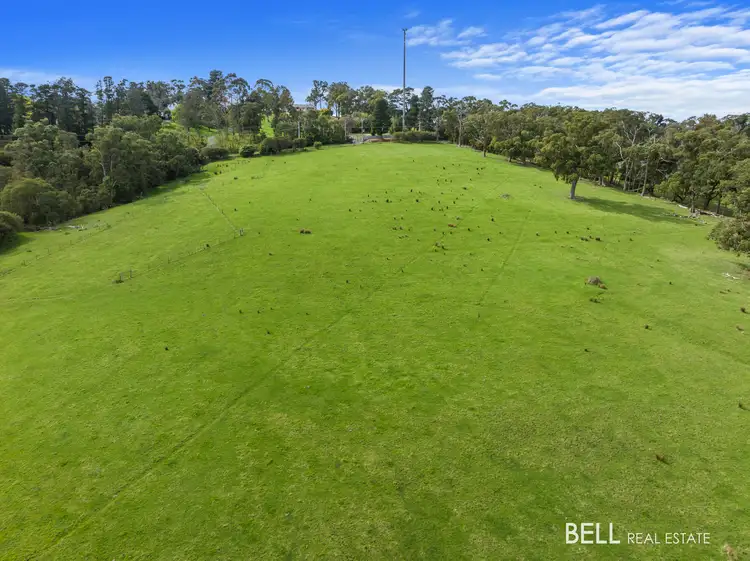 Fifth view of Homely house listing, 56 Allsops Road, Woori Yallock VIC 3139