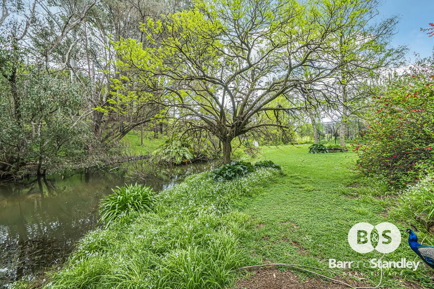 Main view of Homely house listing, 121 Grimwade Road, Balingup WA 6253