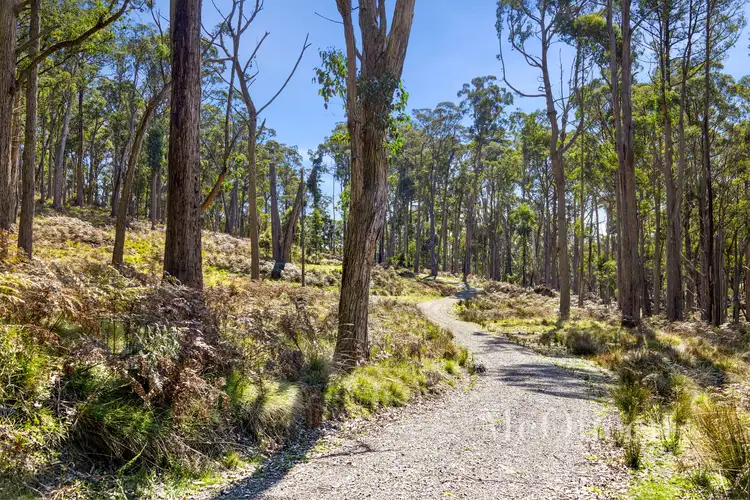 Fifth view of Homely land listing, 100 Fern Road, Little Hampton VIC 3458