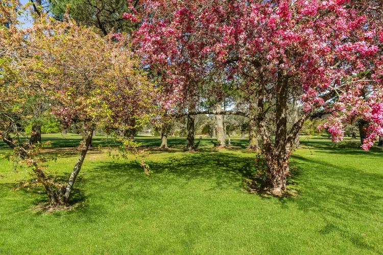Fourth view of Homely unit listing, 1/1 Boronia Street, Bowral NSW 2576