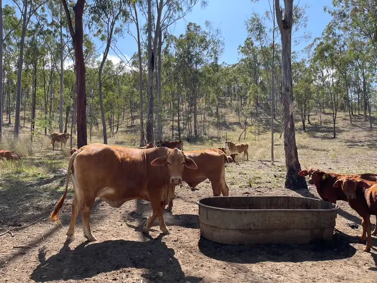Fourth view of Homely land listing, 1467 Tableland Road, Wooderson QLD 4680