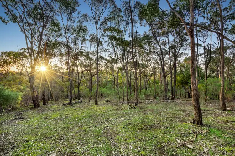 Fourth view of Homely land listing, 210 Shaws Road, Cottles Bridge VIC 3099
