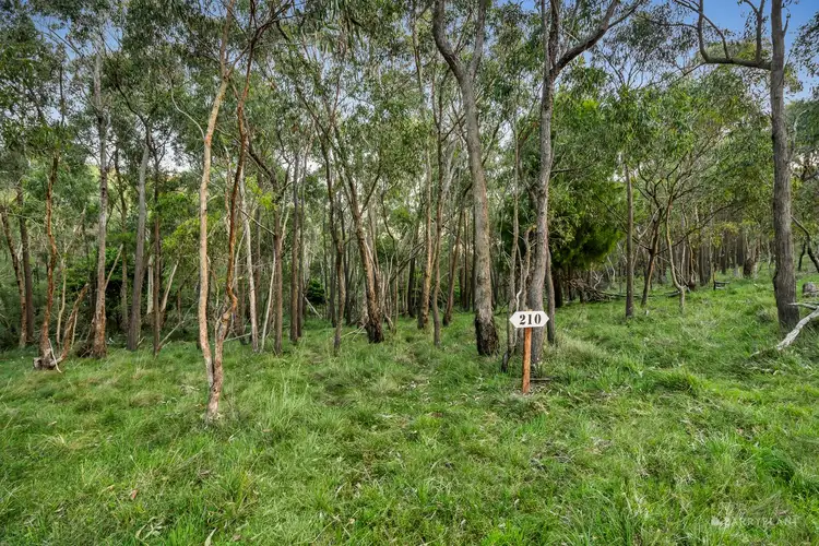 Fifth view of Homely land listing, 210 Shaws Road, Cottles Bridge VIC 3099