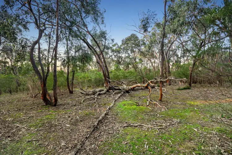 Sixth view of Homely land listing, 210 Shaws Road, Cottles Bridge VIC 3099