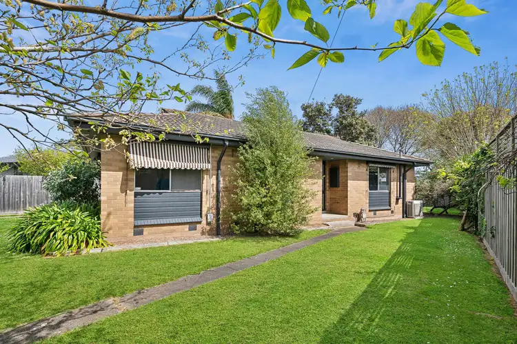 97 Robertson Drive