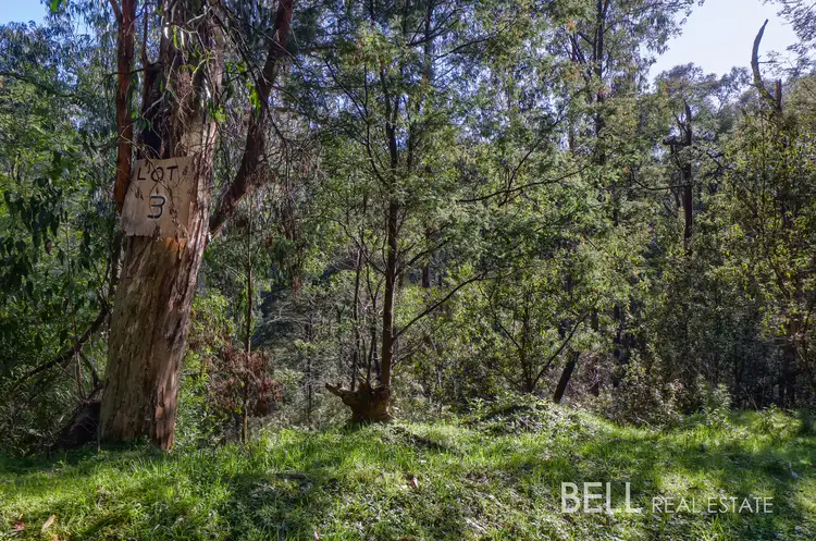 Third view of Homely land listing, Lot 3 Amphlett Avenue, Cockatoo VIC 3781