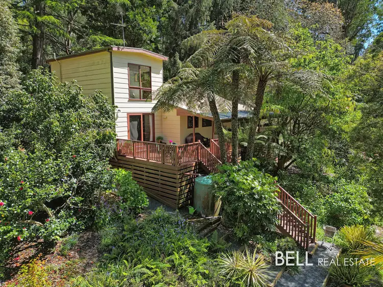 1341 Mount Dandenong Tourist Road, Mount Dandenong VIC 3767