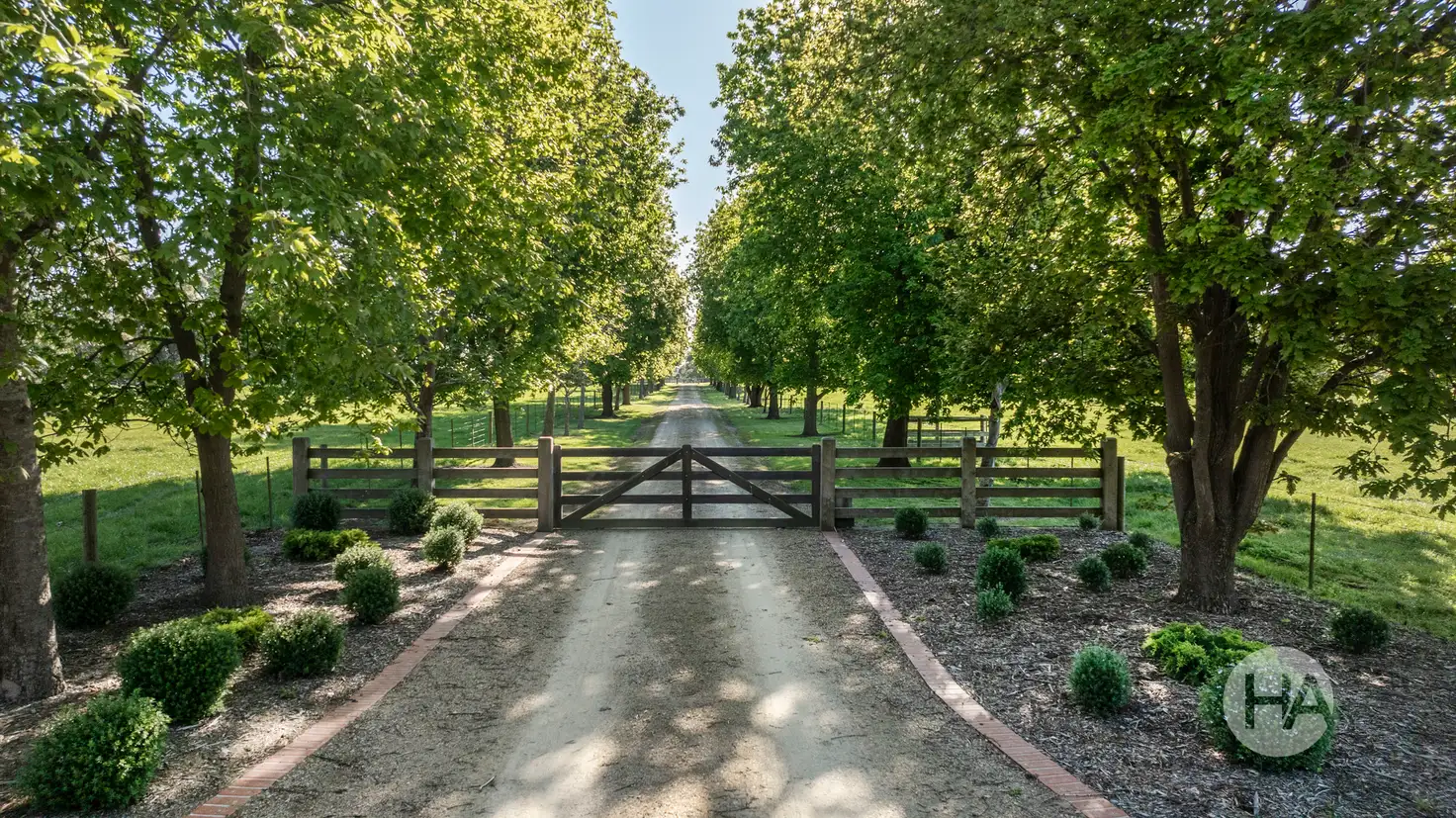 Main view of Homely rural property listing, 155 Stumpy Gully Road, Balnarring VIC 3926