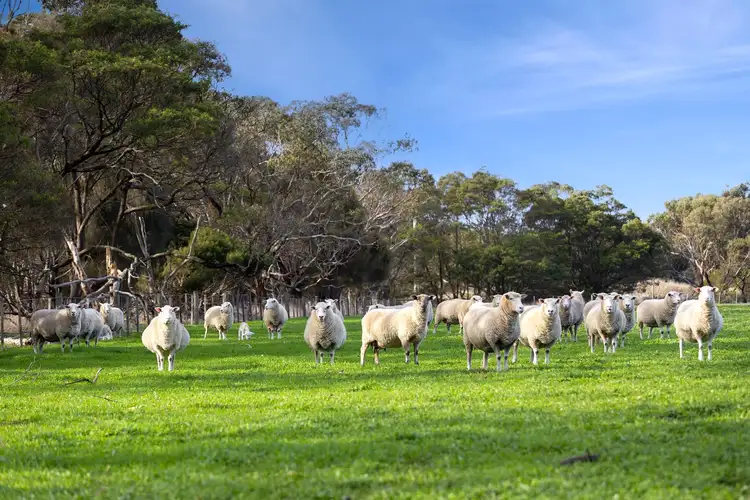 Fifth view of Homely rural property listing, 680 Ghazeepore Road, Freshwater Creek VIC 3217