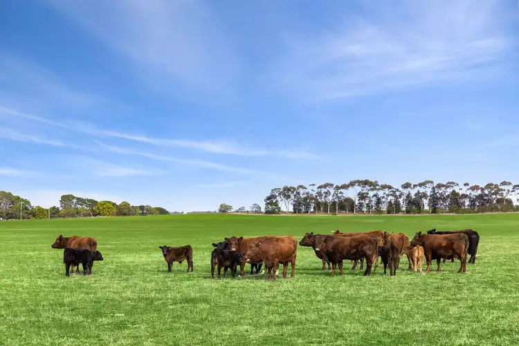 Sixth view of Homely rural property listing, 680 Ghazeepore Road, Freshwater Creek VIC 3217