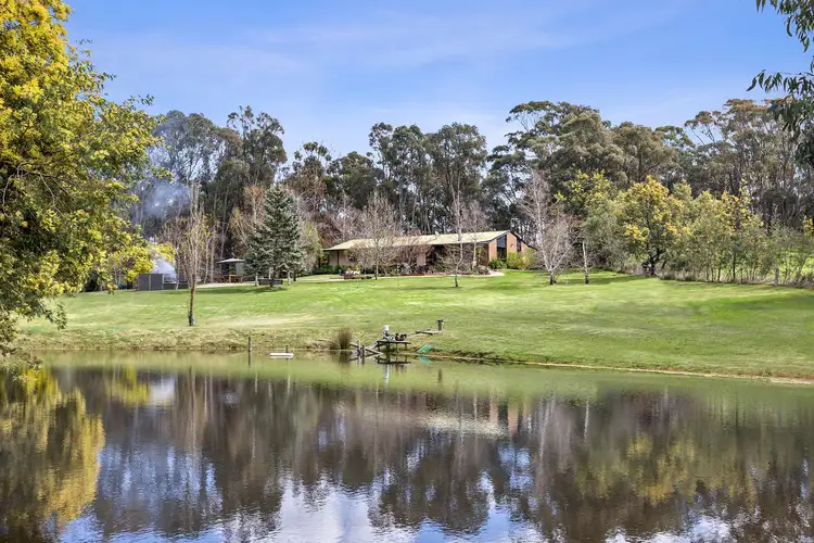 39 Woolnoughs Road, Porcupine Ridge VIC 3461