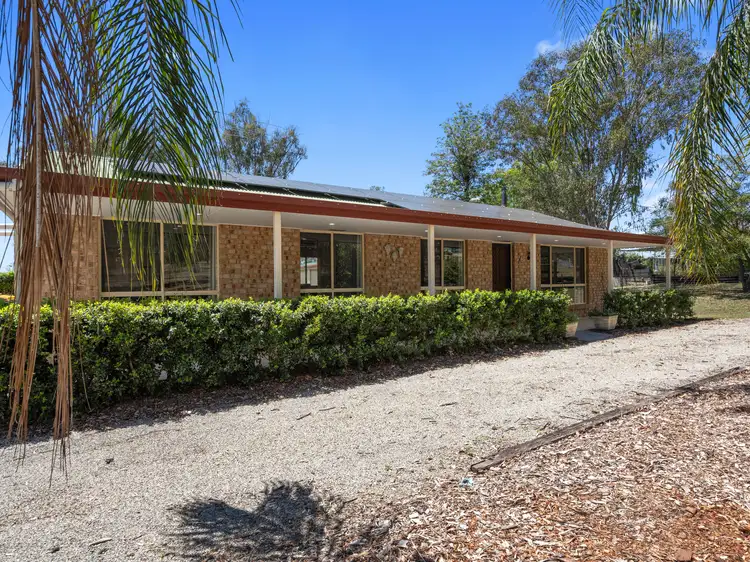 Main view of Homely house listing, 31 Walnut Drive, Brightview QLD 4311