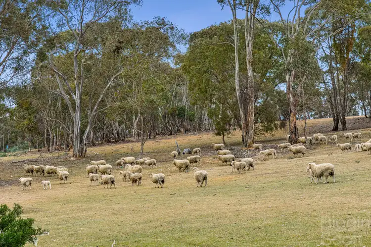 Fourth view of Homely land listing, 1825 McCallums Creek Road, Dunach VIC 3371