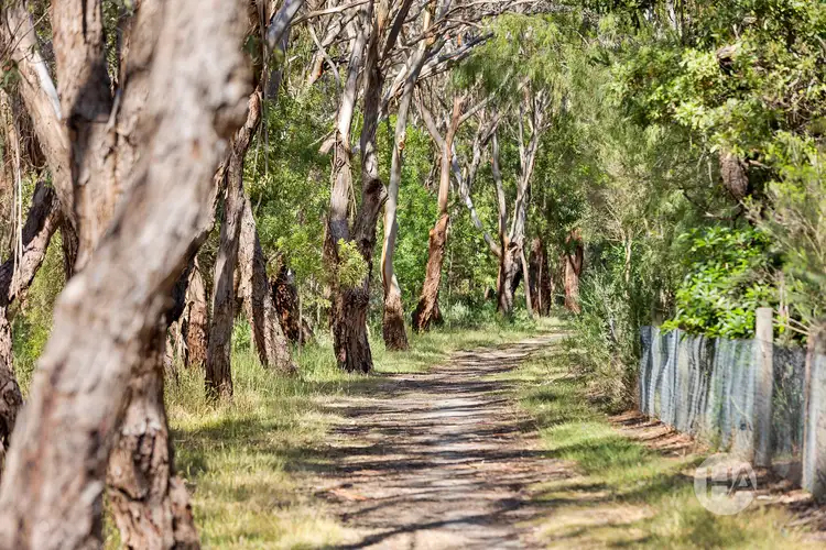 Fifth view of Homely land listing, 52 Beach Hill Avenue, Somers VIC 3927