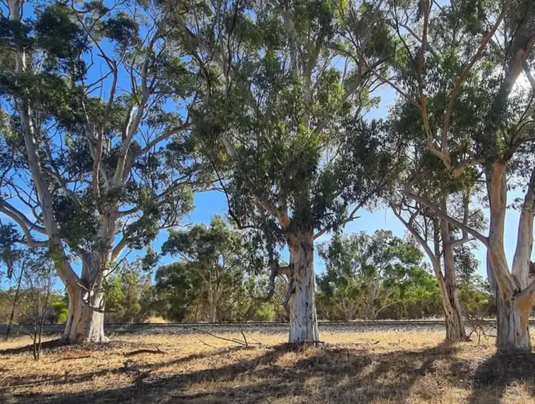Third view of Homely land listing, LOT Lot, 20 Landon Street, Wyening WA 6568