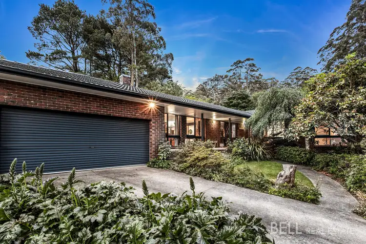 3 Macnamara Street, Ferny Creek VIC 3786