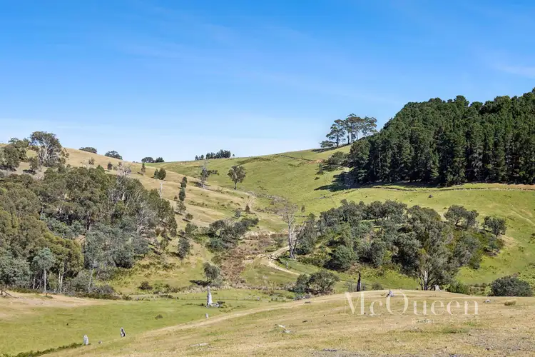 Third view of Homely rural property listing, 930 Porcupine Ridge Road, Porcupine Ridge VIC 3461