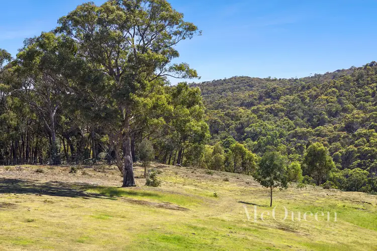 Fifth view of Homely rural property listing, 930 Porcupine Ridge Road, Porcupine Ridge VIC 3461