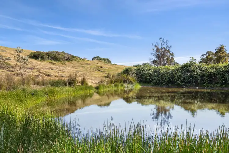 Fourth view of Homely rural property listing, 164 Swords Road, Glenlyon VIC 3461