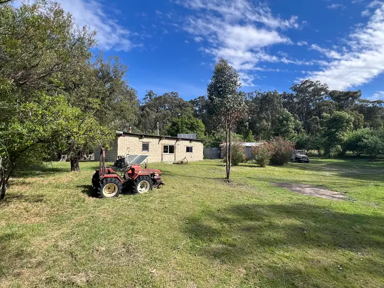 38 Blue Gum Track